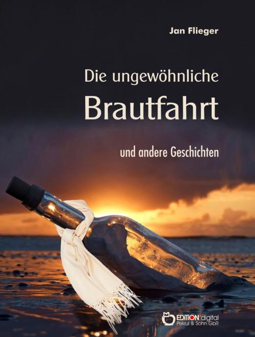 Cover of the book Die ungewöhnliche Brautfahrt und andere Geschichten by Jan Flieger, EDITION digital