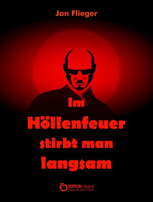 Cover of the book Im Höllenfeuer stirbt man langsam by Jan Flieger, EDITION digital