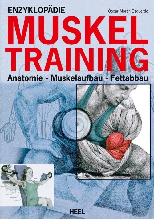 Cover of the book Enzyklopädie Muskeltraining by Oscar Moran Esqerdo, HEEL Verlag