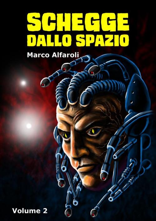 Cover of the book Schegge dallo spazio - volume 2 by Marco Alfaroli, Marco Alfaroli