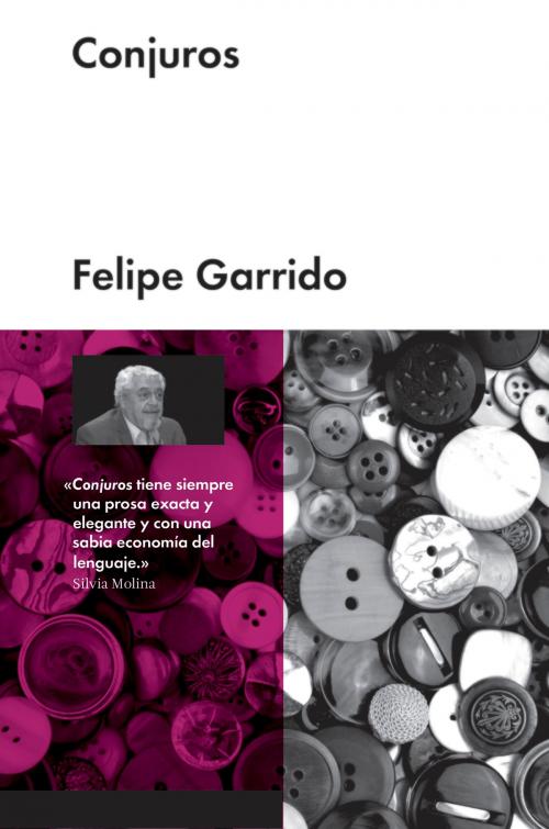 Cover of the book Conjuros by Felipe Garrido, MALPASO