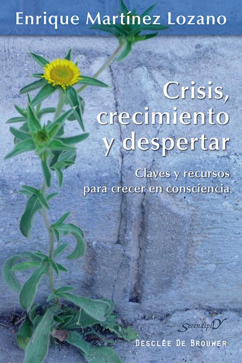 Cover of the book Crisis, crecimiento y despertar by Enrique Martínez Lozano, Desclée De Brouwer