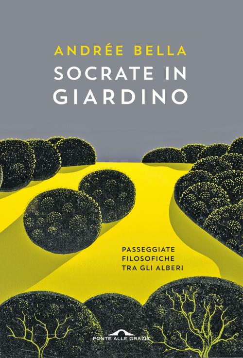Cover of the book Socrate in giardino by Andrée Bella, Ponte alle Grazie