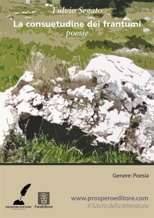 Cover of the book La consuetudine dei frantumi by Fulvio Segato, Prospero Editore