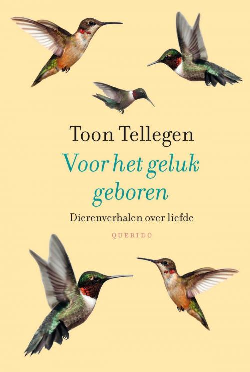 Cover of the book Voor het geluk geboren by Toon Tellegen, Singel Uitgeverijen
