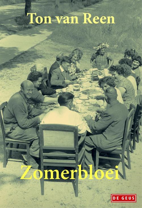 Cover of the book Zomerbloei by Ton van Reen, Singel Uitgeverijen