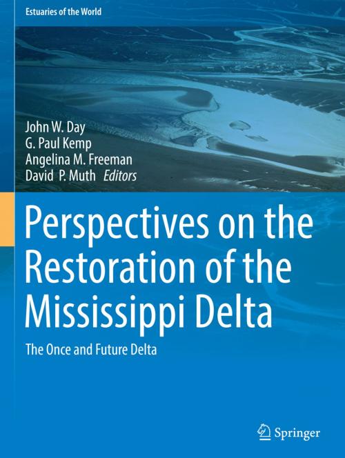 Cover of the book Perspectives on the Restoration of the Mississippi Delta by , Springer Netherlands