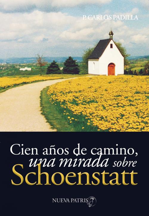 Cover of the book Cien años de camino by Padre Carlos Padilla, Nueva Patris