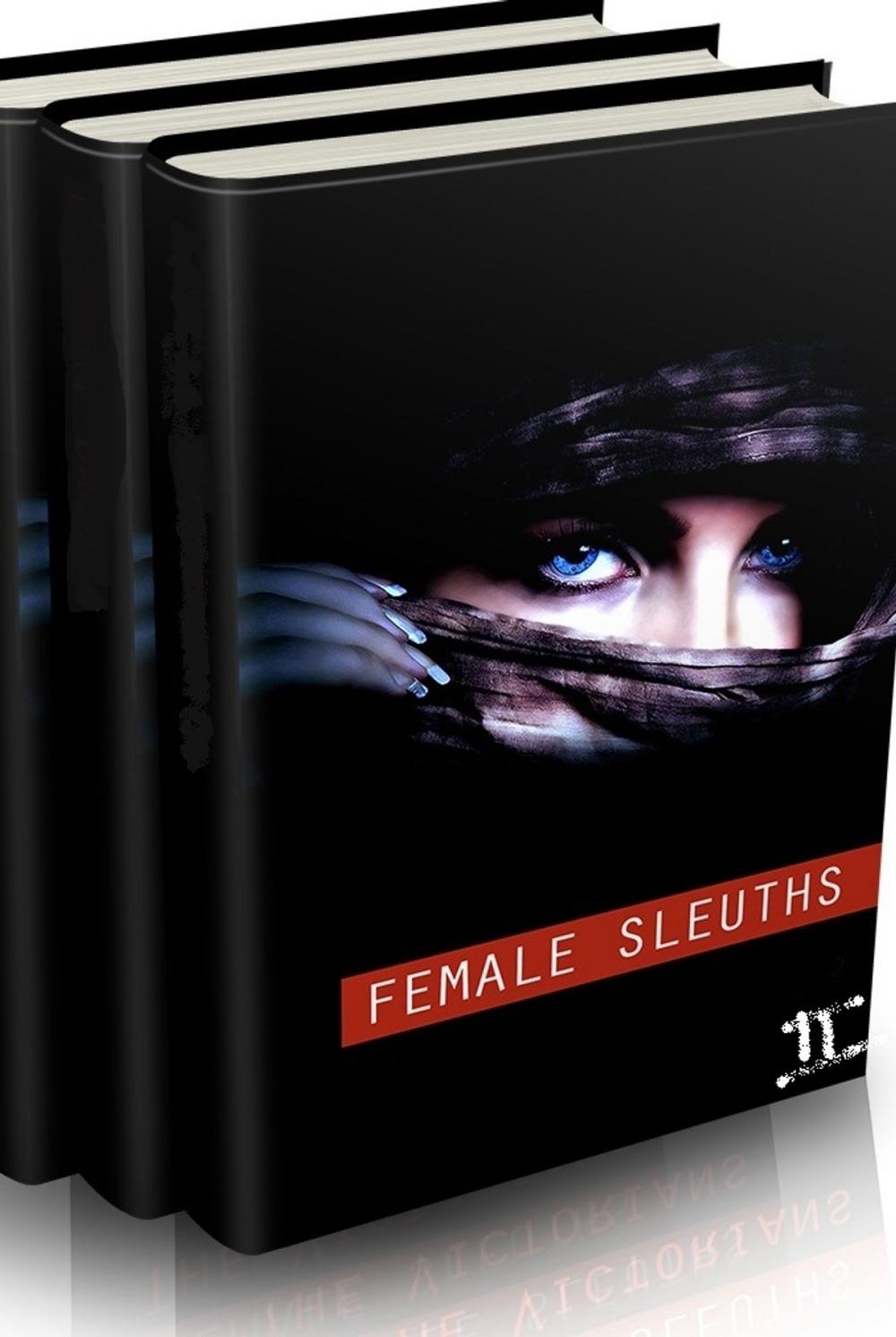 Big bigCover of Female Sleuths Multipack 2