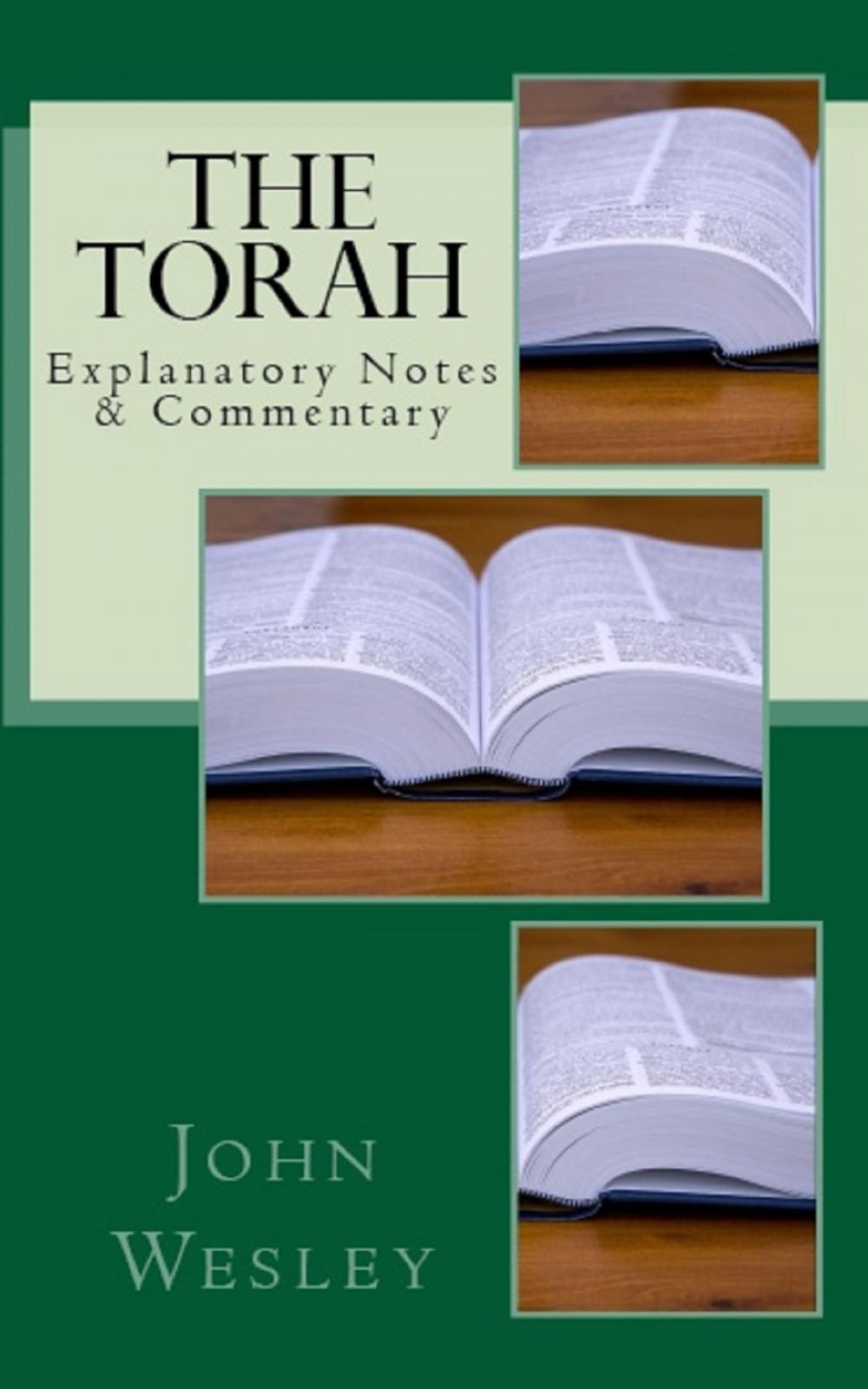 Big bigCover of The Torah
