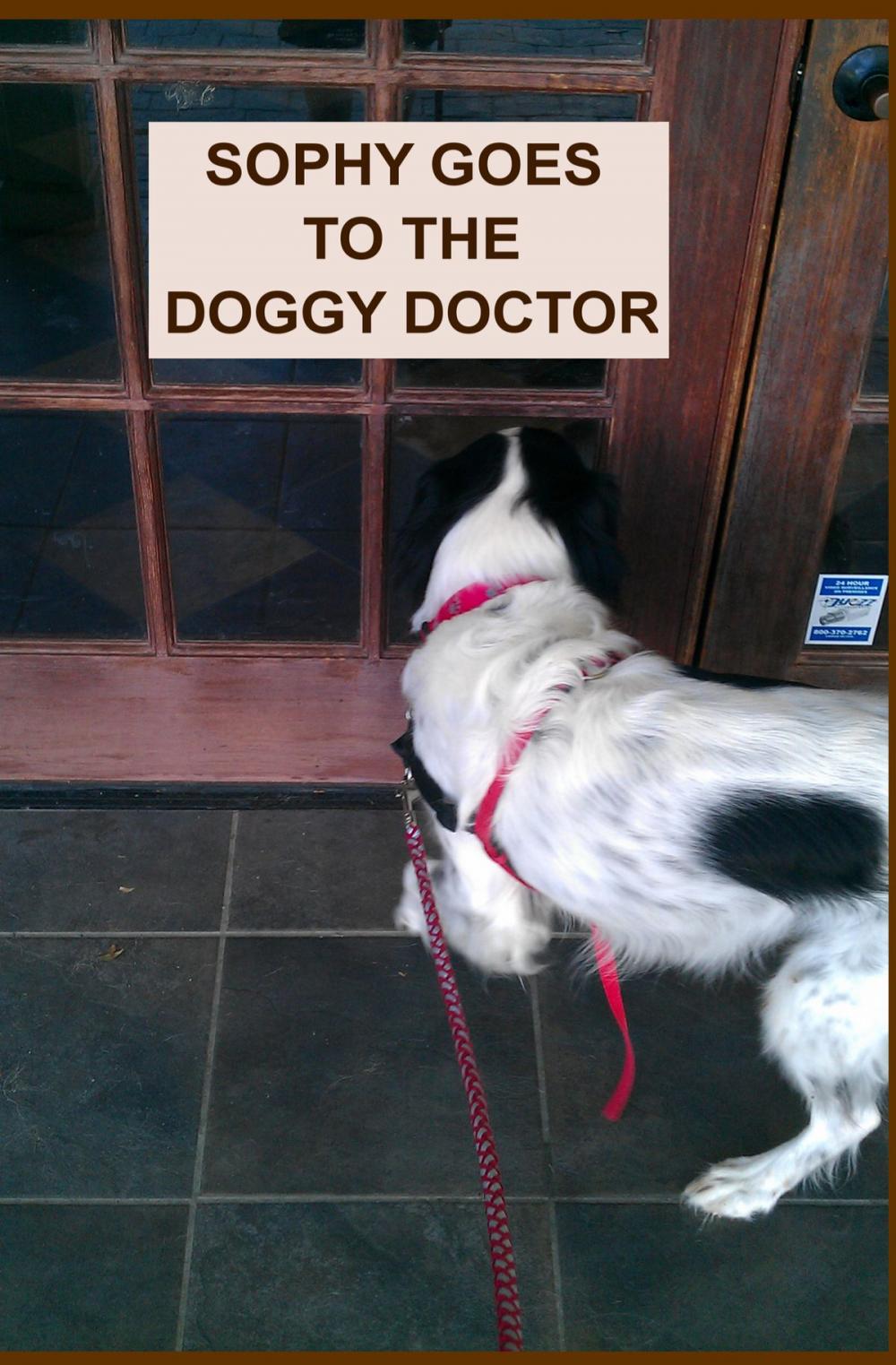 Big bigCover of SOPHY GOES TO THE DOGGY DOCTOR