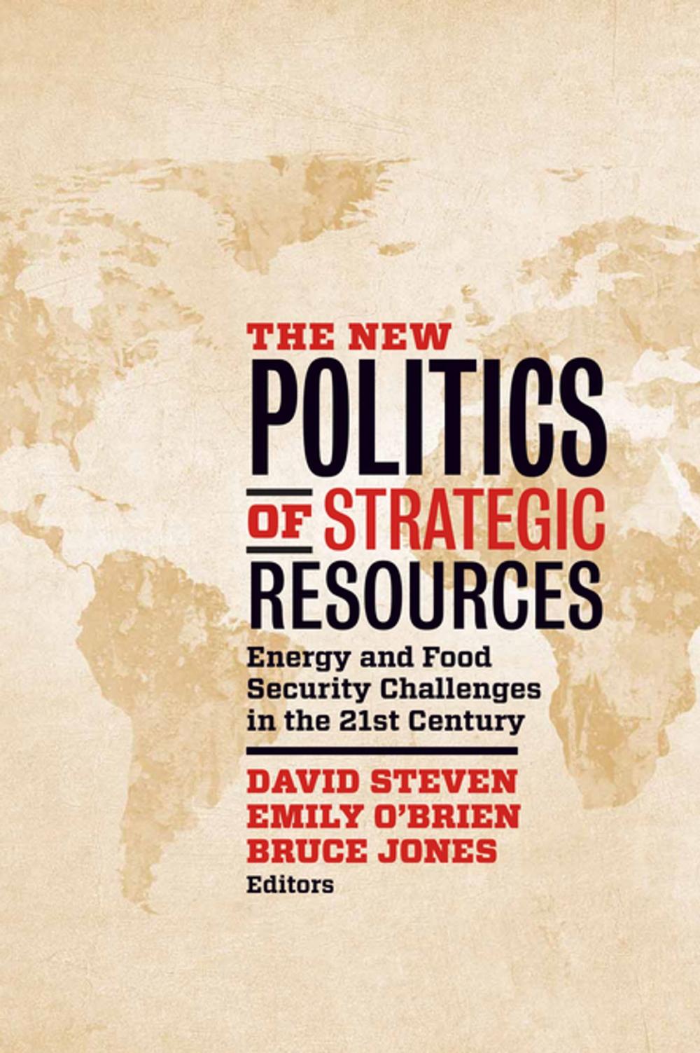 Big bigCover of The New Politics of Strategic Resources