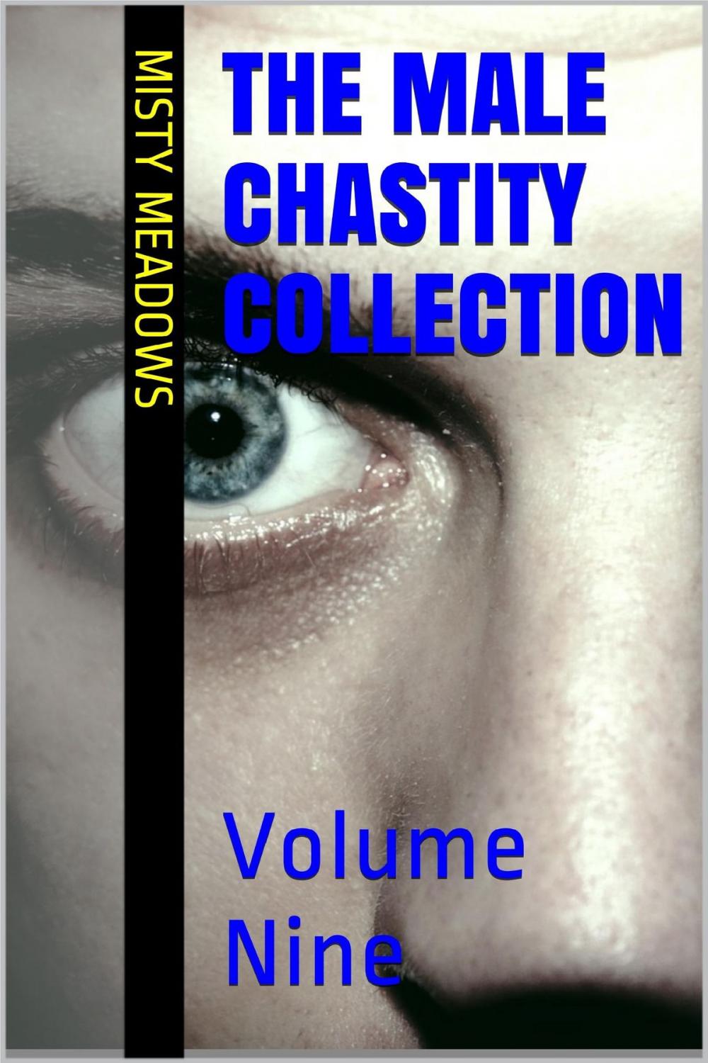 Big bigCover of The Male Chastity Collection: Volume Nine (Femdom, Chastity)
