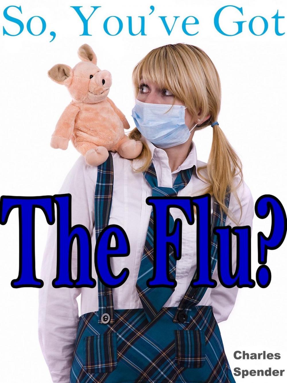 Big bigCover of So, You've Got the Flu?