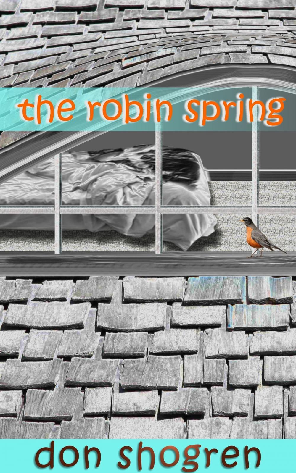 Big bigCover of The Robin Spring