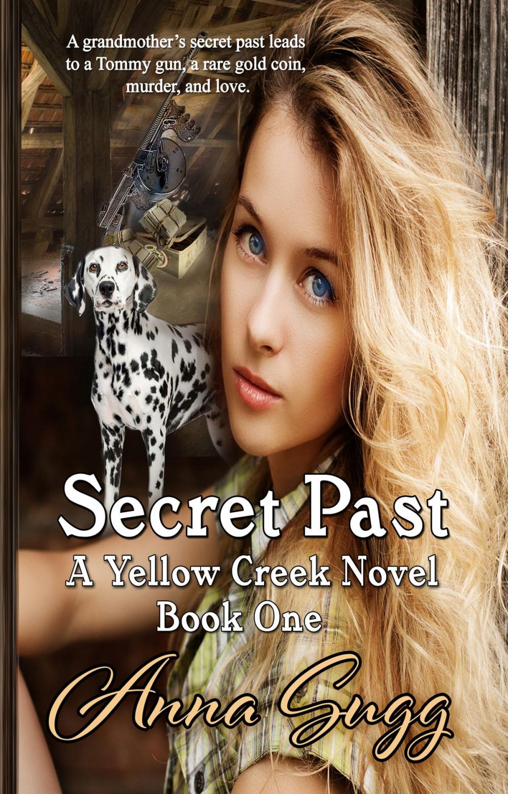 Big bigCover of Secret Past, A Yellow Creek Novel