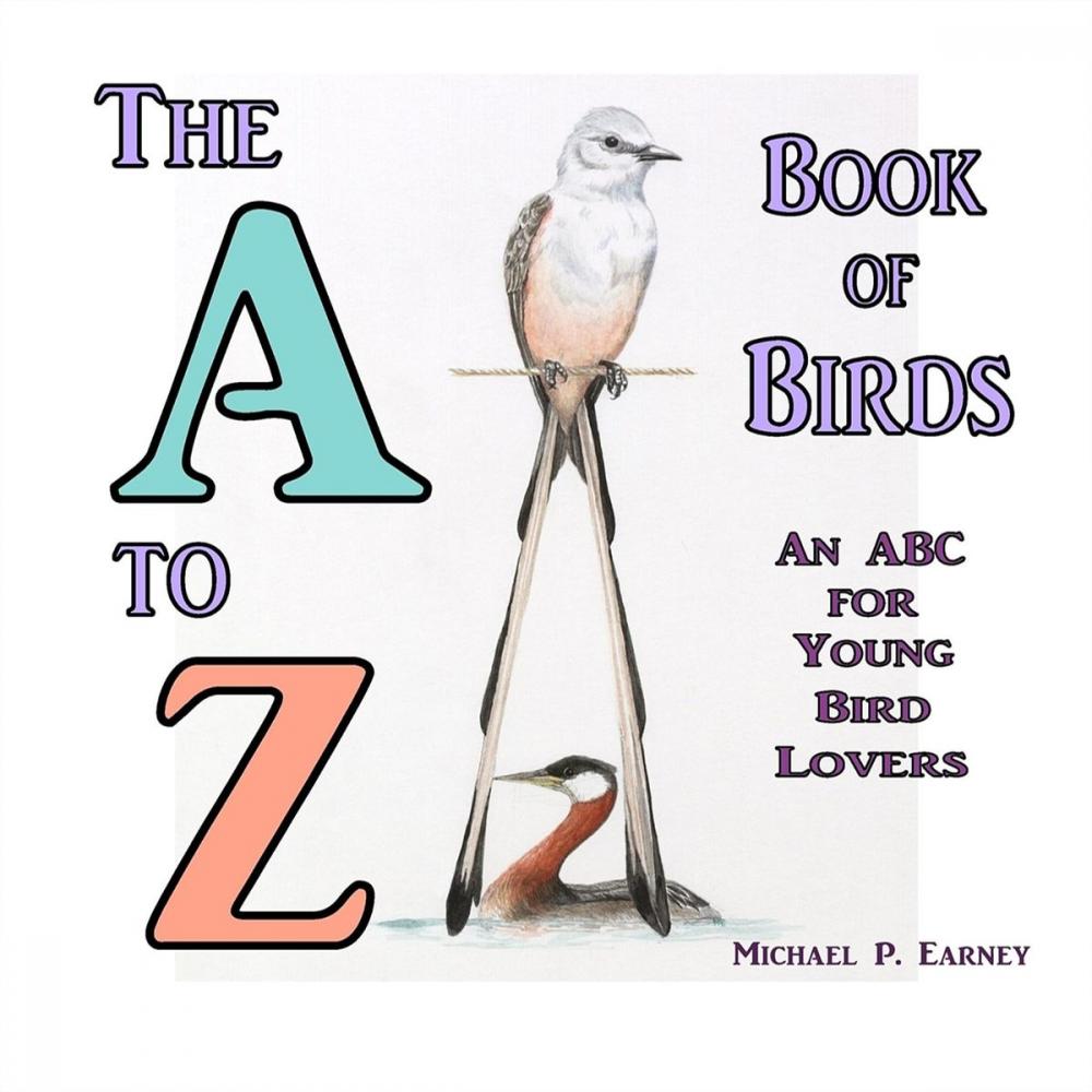 Big bigCover of The A to Z Book of Birds