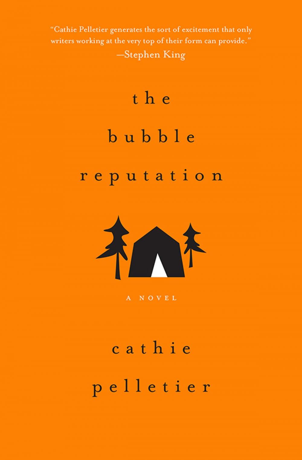 Big bigCover of The Bubble Reputation