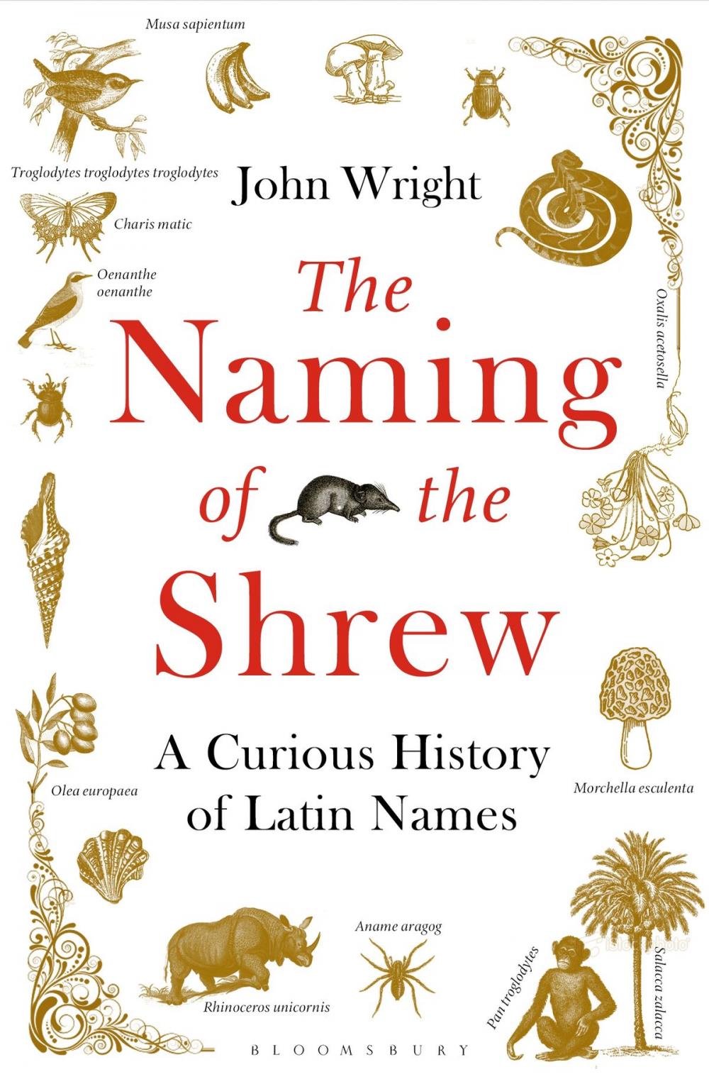 Big bigCover of The Naming of the Shrew