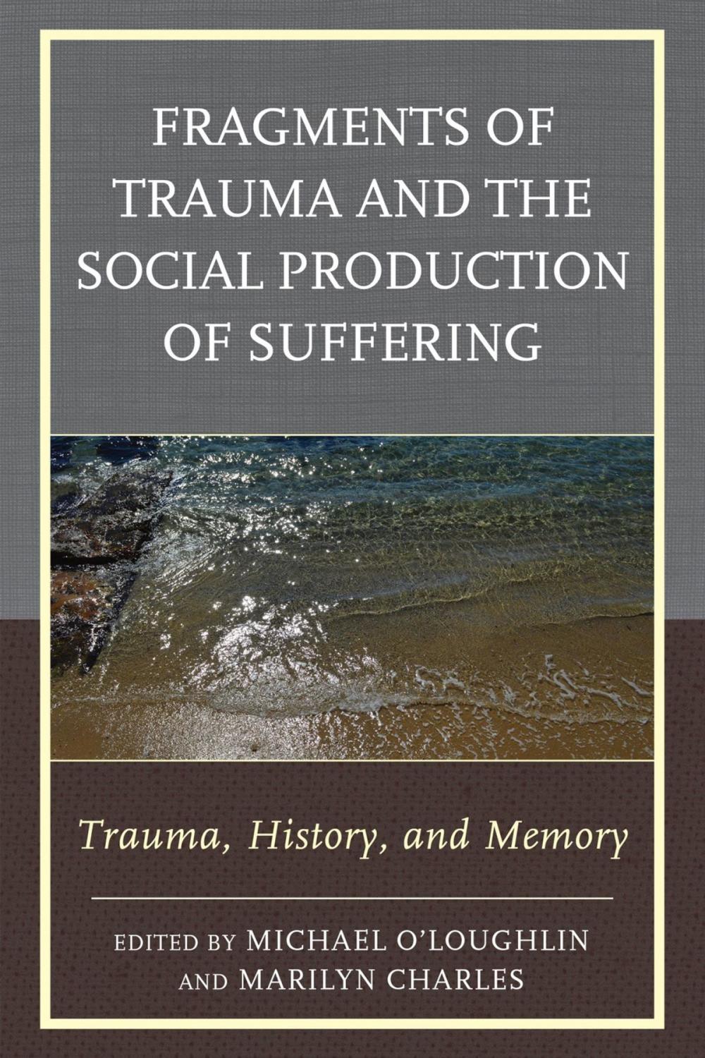 Big bigCover of Fragments of Trauma and the Social Production of Suffering