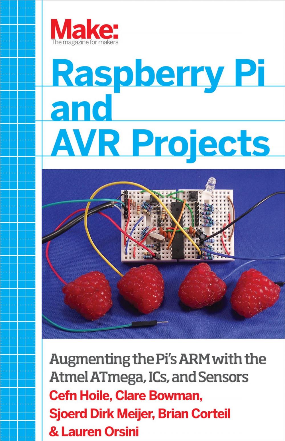 Big bigCover of Raspberry Pi and AVR Projects