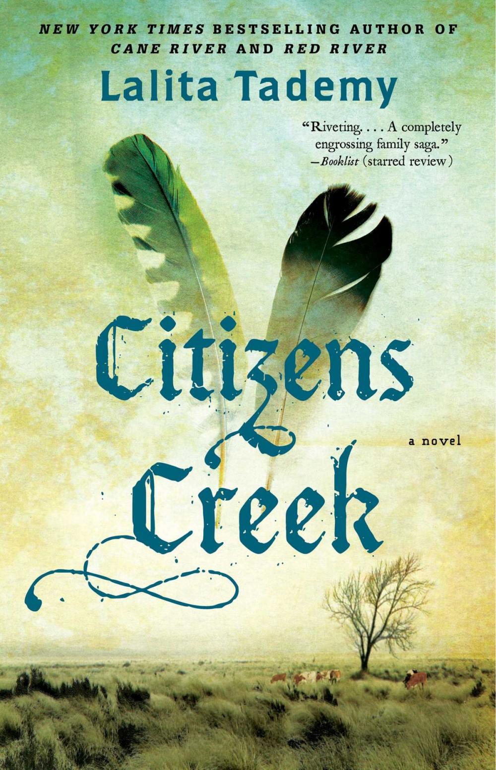 Big bigCover of Citizens Creek
