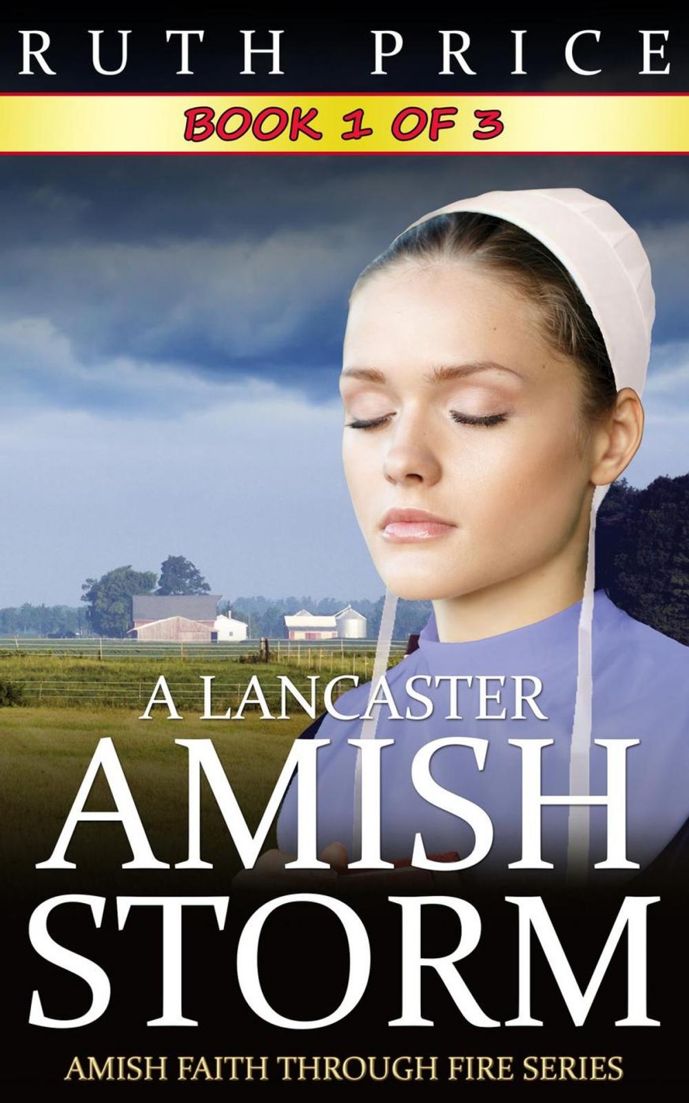 Big bigCover of A Lancaster Amish Storm - Book 1