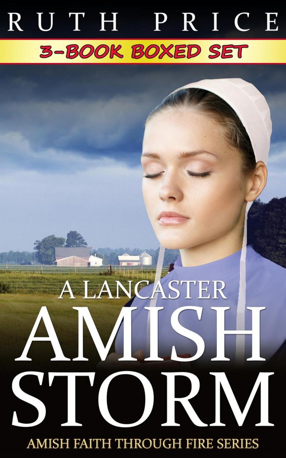 Big bigCover of A Lancaster Amish Storm 3-Book Boxed Set