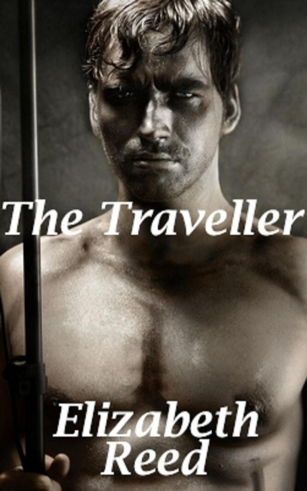 Big bigCover of The Traveller