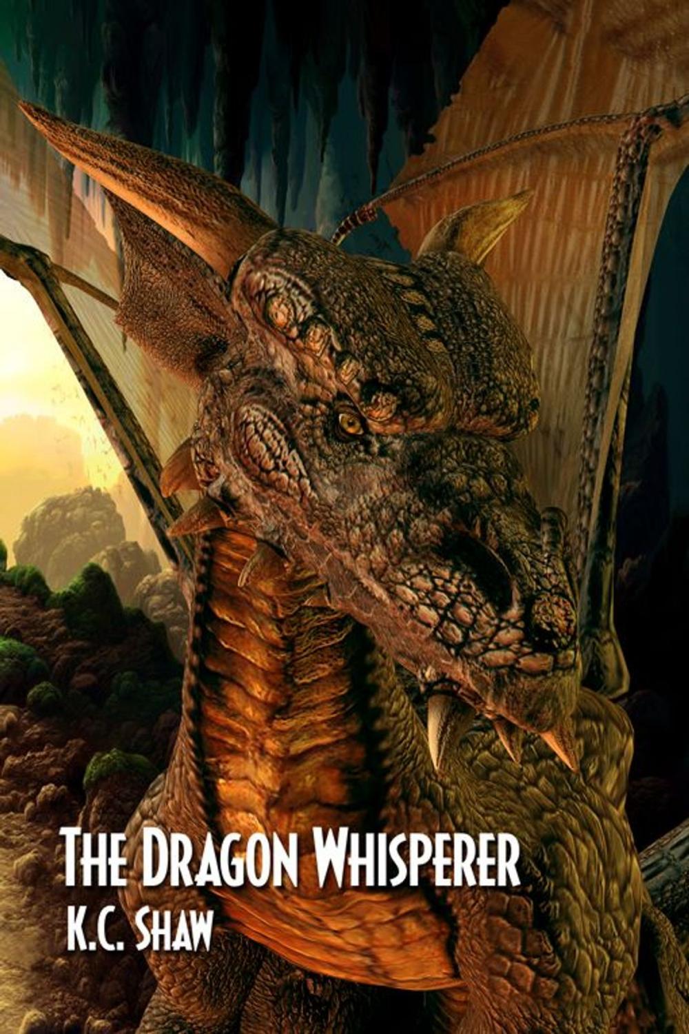 Big bigCover of The Dragon Whisperer