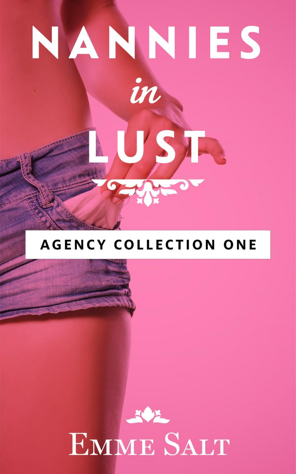 Big bigCover of The Agency Collection One: Nannies in Lust