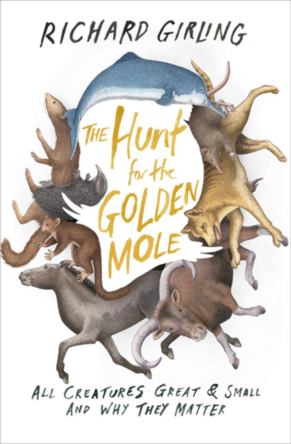 Big bigCover of The Hunt for the Golden Mole
