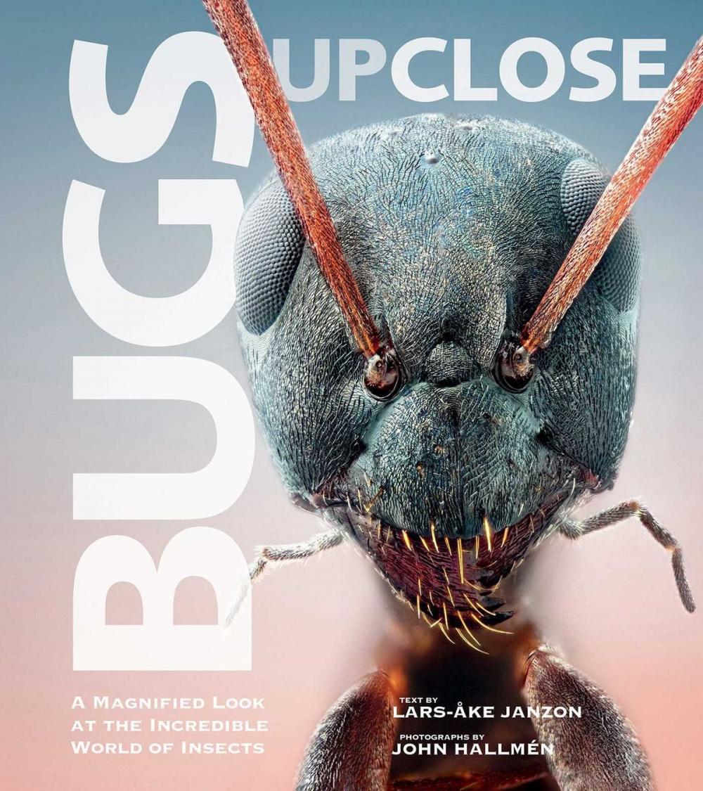 Big bigCover of Bugs Up Close
