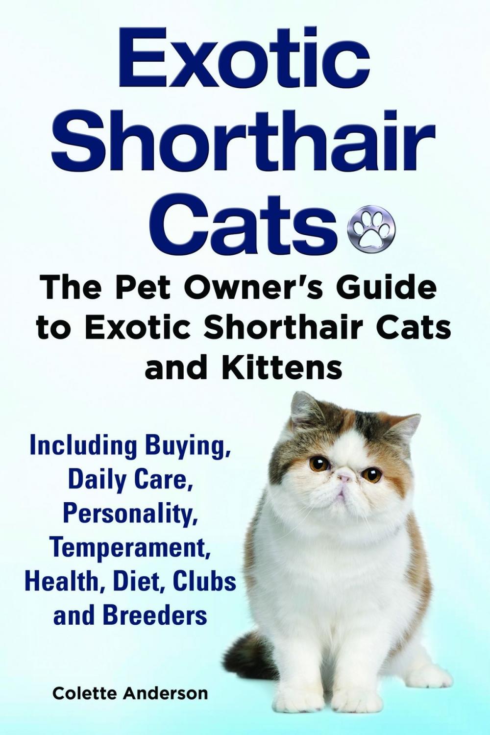 Big bigCover of Exotic Shorthair Cats The Pet Owner’s Guide to Exotic Shorthair Cats and Kittens Including Buying, Daily Care, Personality, Temperament, Health, Diet, Clubs and Breeders