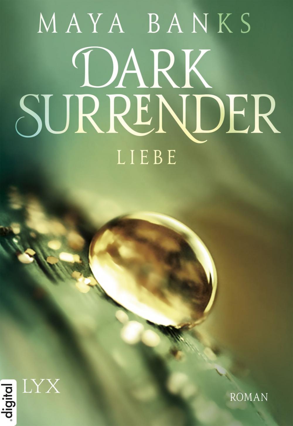 Big bigCover of Dark Surrender - Liebe