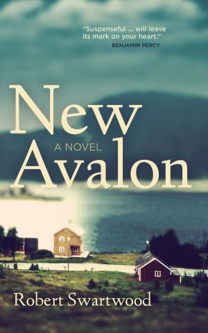 Cover of the book New Avalon by Robert Swartwood