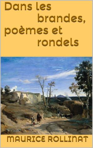 Cover of the book Dans les brandes, poèmes et rondels by Michel Manzi