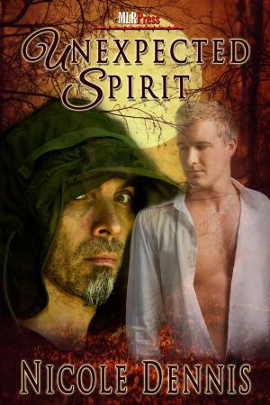 Cover of the book Unexpected Spirit by John Wiltshire