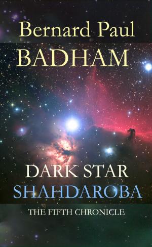 Book cover of Shahdaroba - Alien Stone