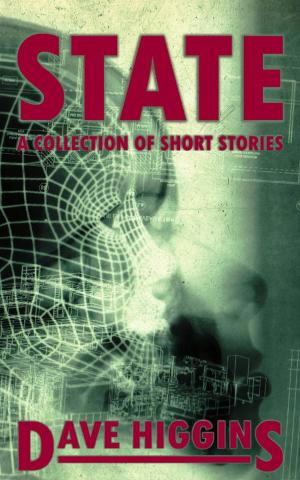 Cover of the book State by D51