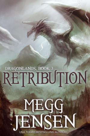 Cover of the book Retribution by PJ Tye