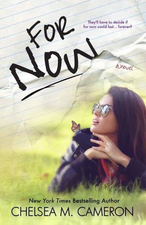 Book cover of For Now (Rules of Love, Book Two)