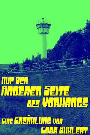 Cover of the book Auf der anderen Seite des Vorhangs by A.D. Seay