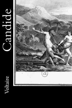 Cover of the book Candide by Daniel Defoe