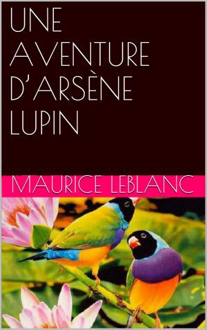 Book cover of UNE AVENTURE D’ARSÈNE LUPIN