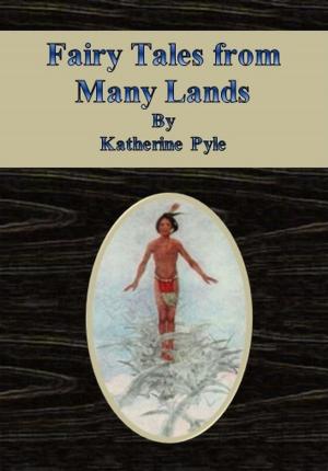 Book cover of Fairy Tales from Many Lands