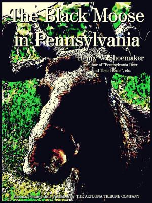 Cover of the book The Black Moose in Pennsylvania by Carolyn Jourdan