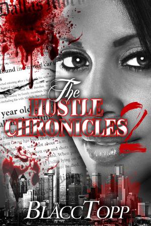 Book cover of The Hustle Chronicles 2