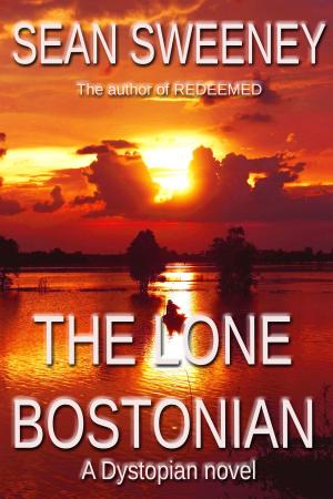 Cover of the book The Lone Bostonian by Sean Sweeney
