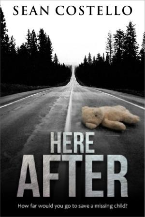 Book cover of Here After